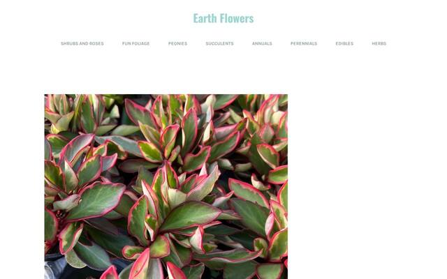 Earth Flowers