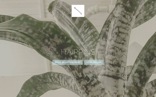 Hairpins