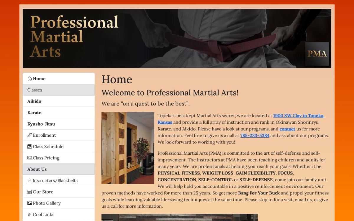Professional Martial Arts