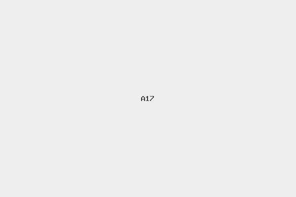 A17