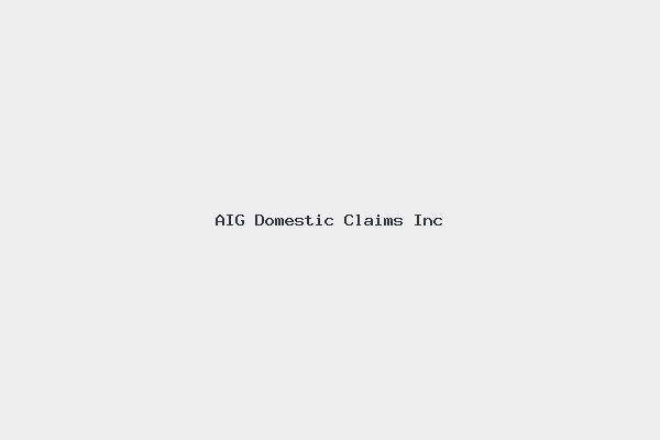 AIG Domestic Claims Inc