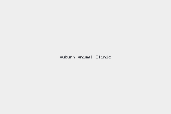 Auburn Animal Clinic