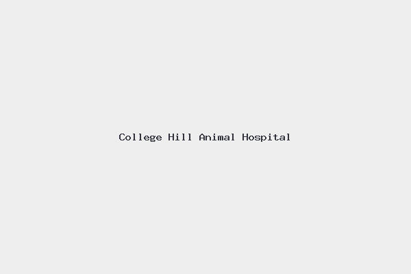 College Hill Animal Hospital
