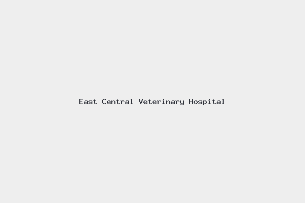 East Central Veterinary Hospital