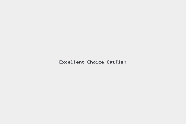 Excellent Choice Catfish 1 Excellent Choice Catfish