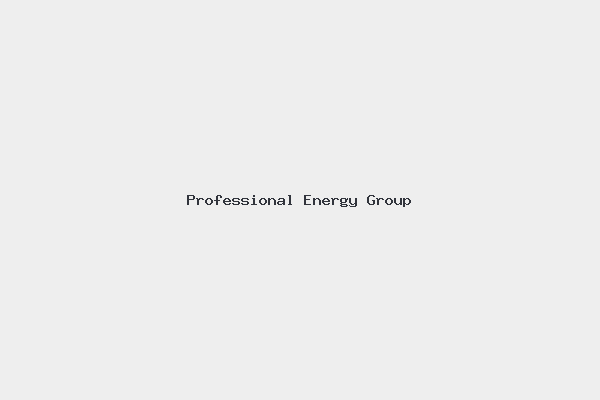Professional Energy Group