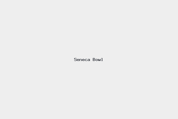 Seneca Bowl