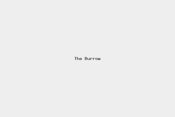 The Burrow