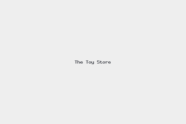 The Toy Store