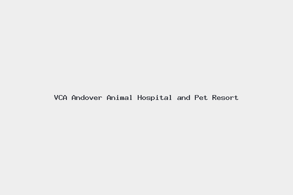 VCA Andover Animal Hospital and Pet Resort